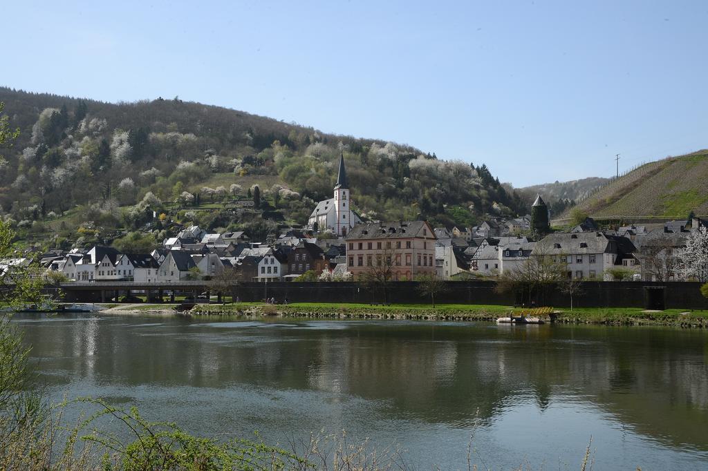 Weingut Rosenbaum Lägenhet Briedel Exteriör bild