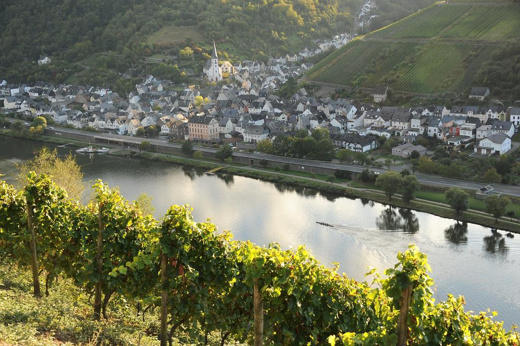 Weingut Rosenbaum Lägenhet Briedel Exteriör bild