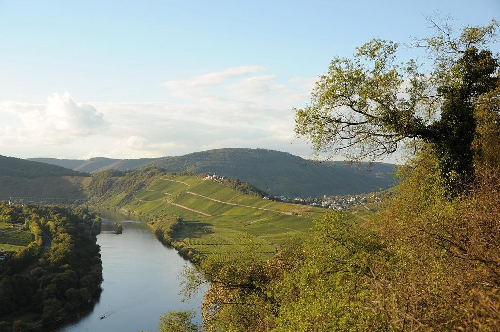 Weingut Rosenbaum Lägenhet Briedel Exteriör bild