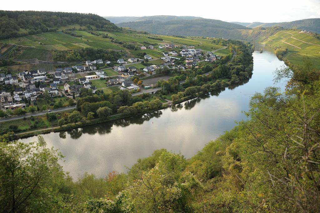 Weingut Rosenbaum Lägenhet Briedel Exteriör bild