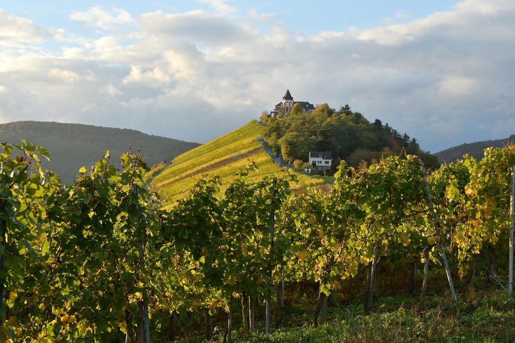 Weingut Rosenbaum Lägenhet Briedel Exteriör bild